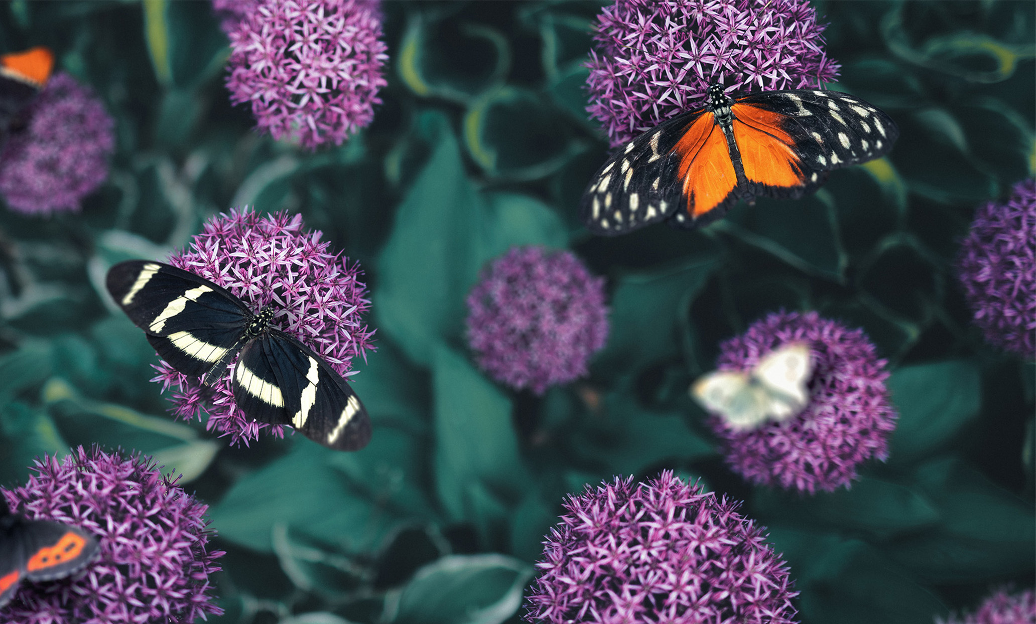 Six ways that ESG drives value creation - Gresham House Ventures